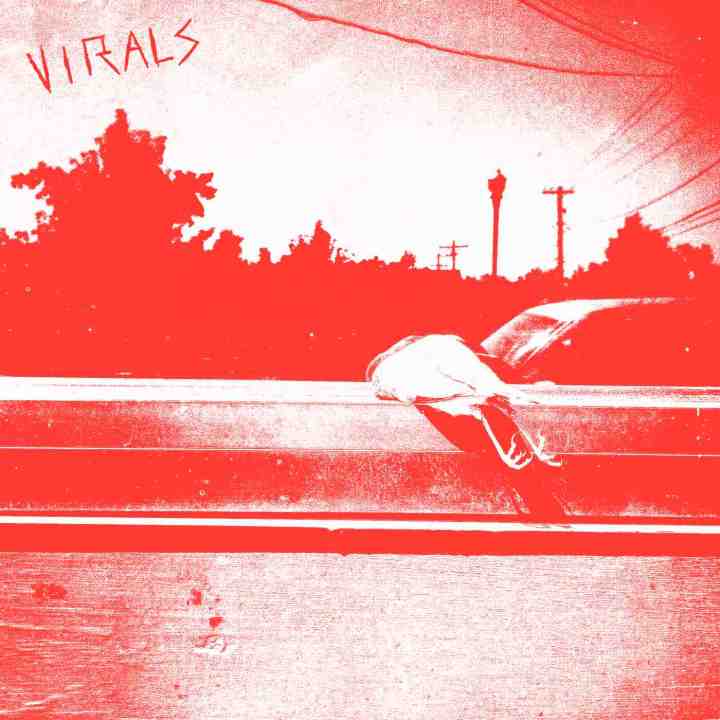 Introducing The Virals. 